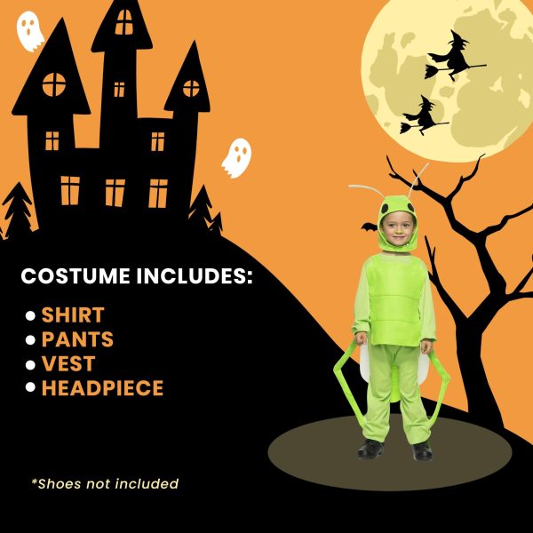 Flying Grasshopper Child Costume Fashion - Image 4