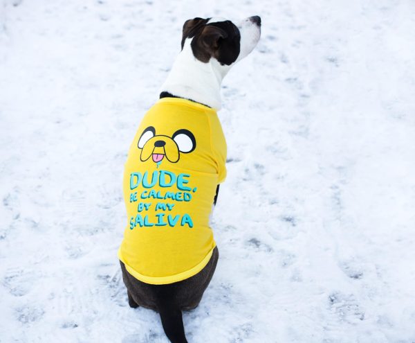 Adventure Time  Jake Saliva  Pet T-Shirt For Cheap - Image 4
