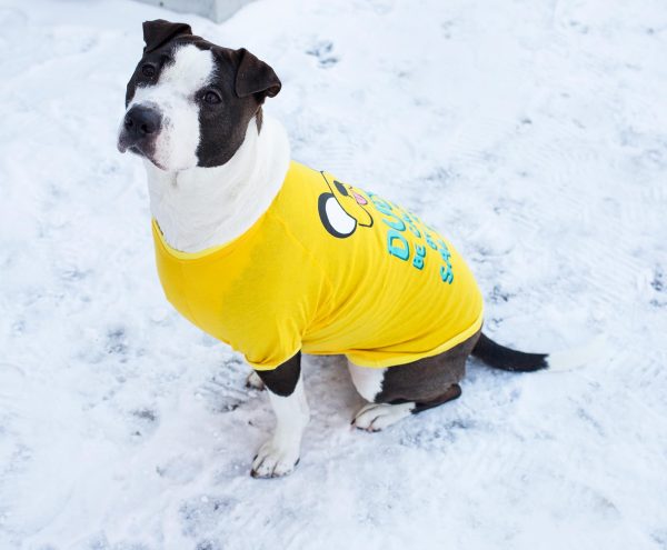 Adventure Time  Jake Saliva  Pet T-Shirt For Cheap - Image 3